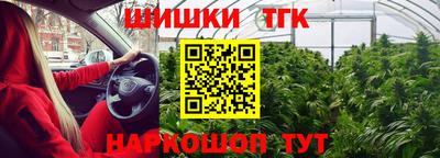 метамфетамин Камышлов